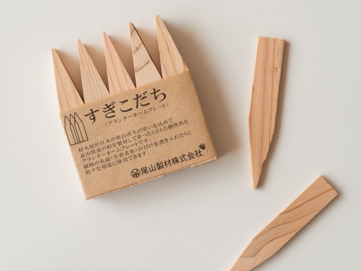 すぎこたち